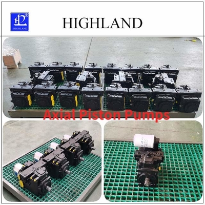 Hydraulische Axialkolbenpumpe, die Verschiebung 110ml/R Arbeits ist