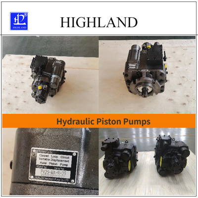 Des Hochland-HPV110 hydraulische Verschiebung der Kolbenpumpe-110ml/R