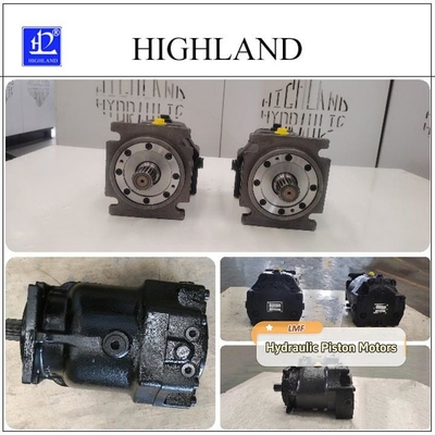 Hydraulische axiale Kolbenpumpen mit variabler Verschiebenheit mit Schwankplattenstruktur
