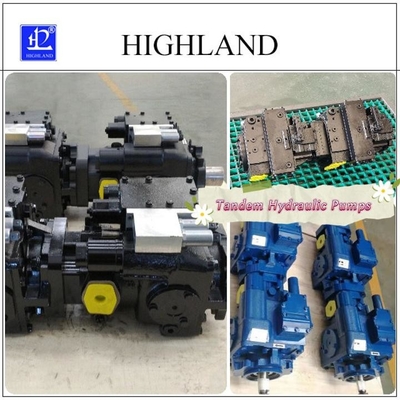 Hydraulische Kolbenpumpe mit variabler Verschiebe für Schieberadlader Schwarz