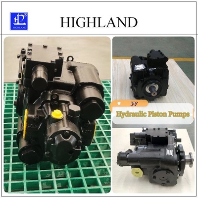 Industrielle schwarze hydraulische Kolbenpumpe mit einfacher Installation