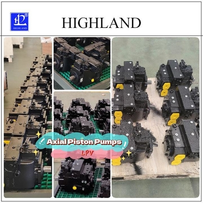 Standardpaket Schwarze hydraulische Kolbenpumpen für hydraulische Systeme